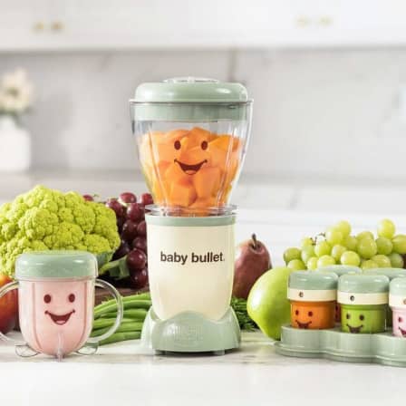 Baby Food Processor